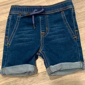 Hudson jean shorts